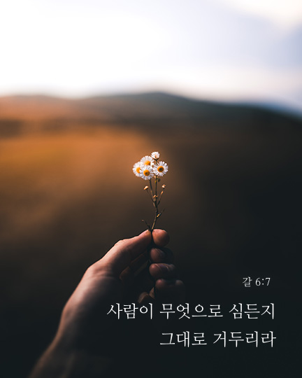 갈라디아서 6장 7절