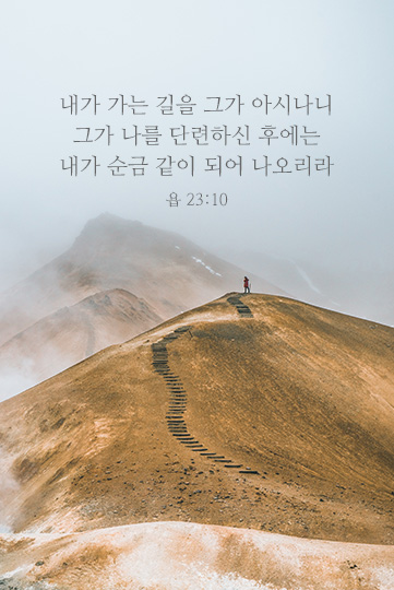 욥기 23장 10절