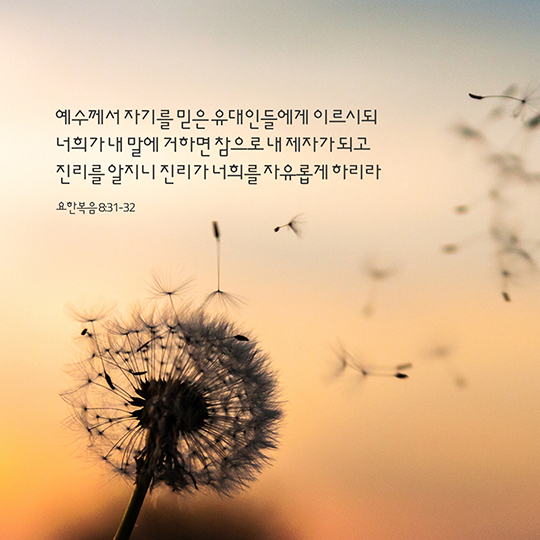 요한복음 8장 31-32절