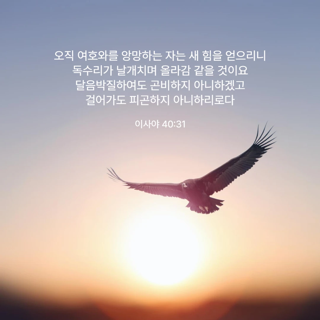 이사야 40장 31절